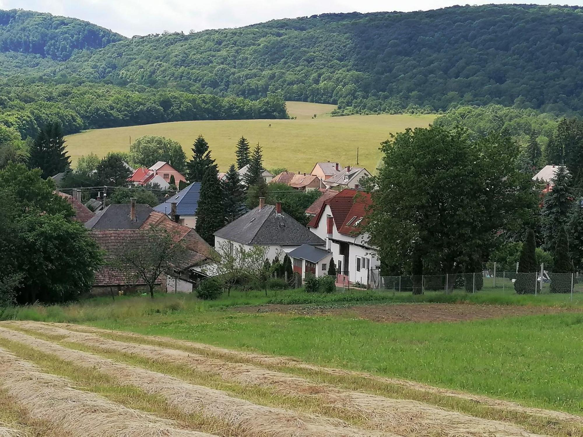 Borostyankut Wellness Home Bakonybél Kültér fotó