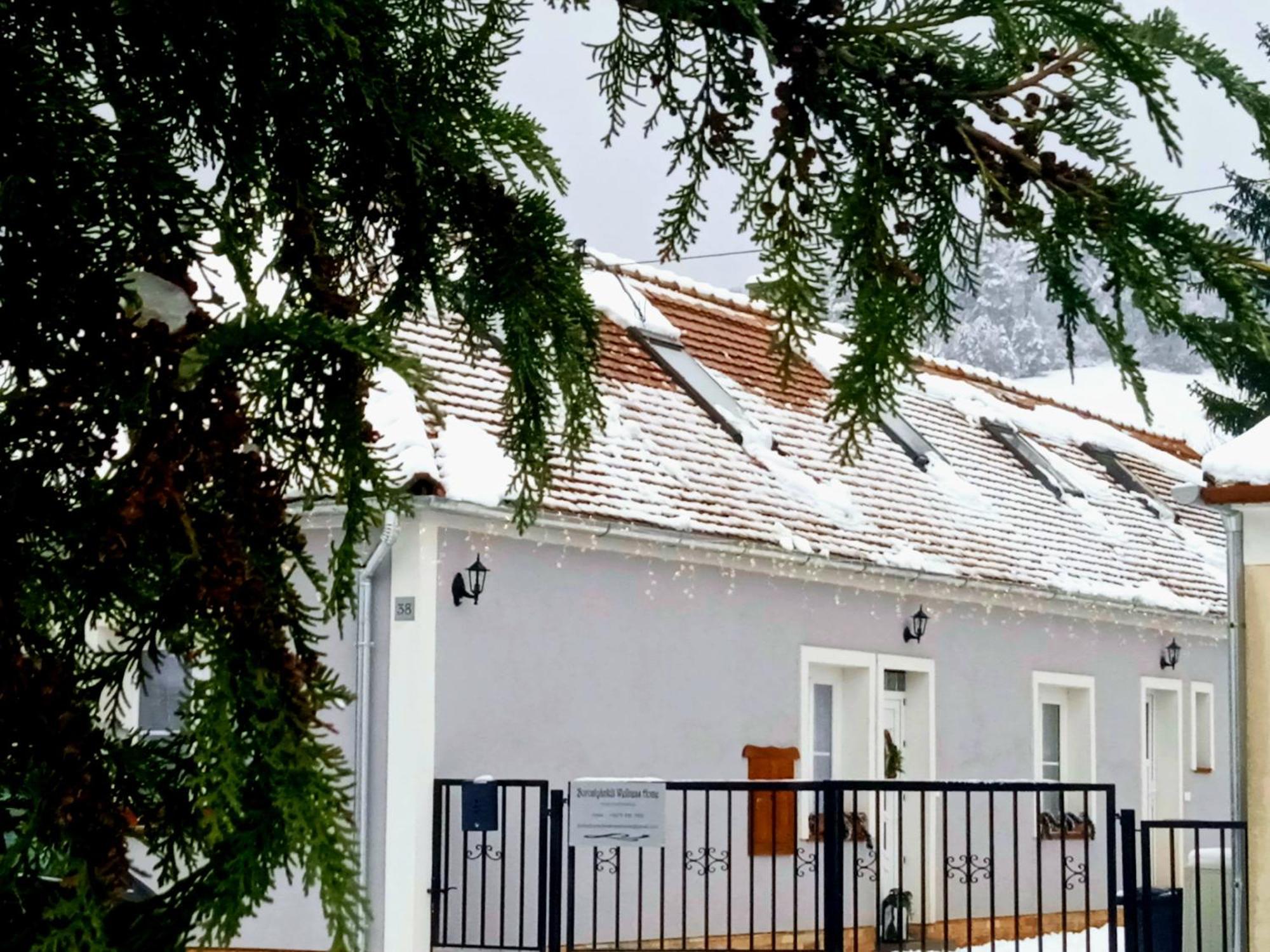 Borostyankut Wellness Home Bakonybél Kültér fotó